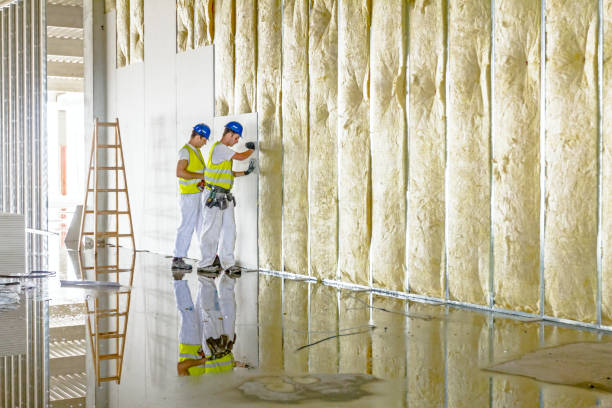 Best Energy Efficiency Insulation in San Andreas, CA
